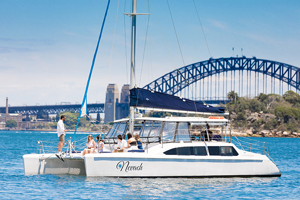 catamaran for hire sydney